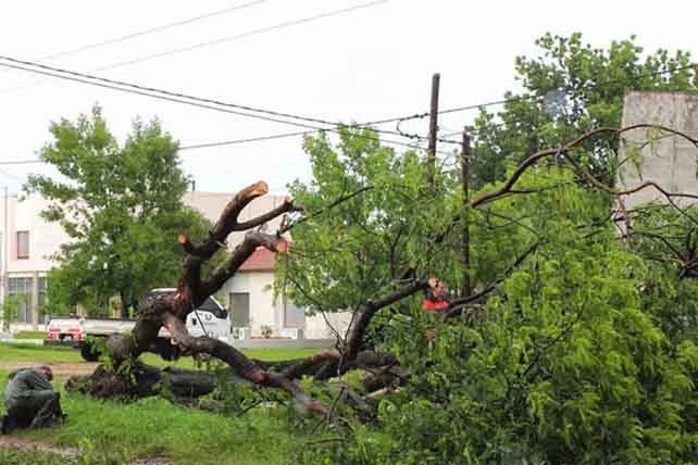 La tormenta dejó varias localidades sin energía y causó destrozos en el