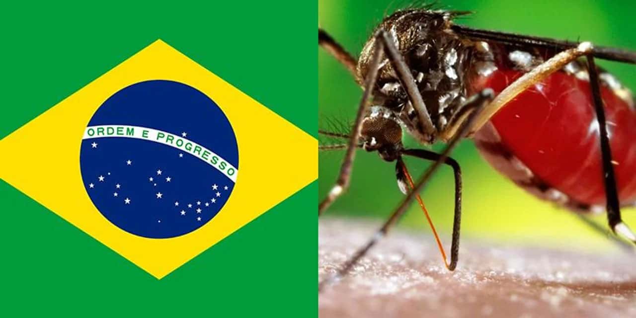 Brasil batió su récord histórico de muertes por dengue en un año