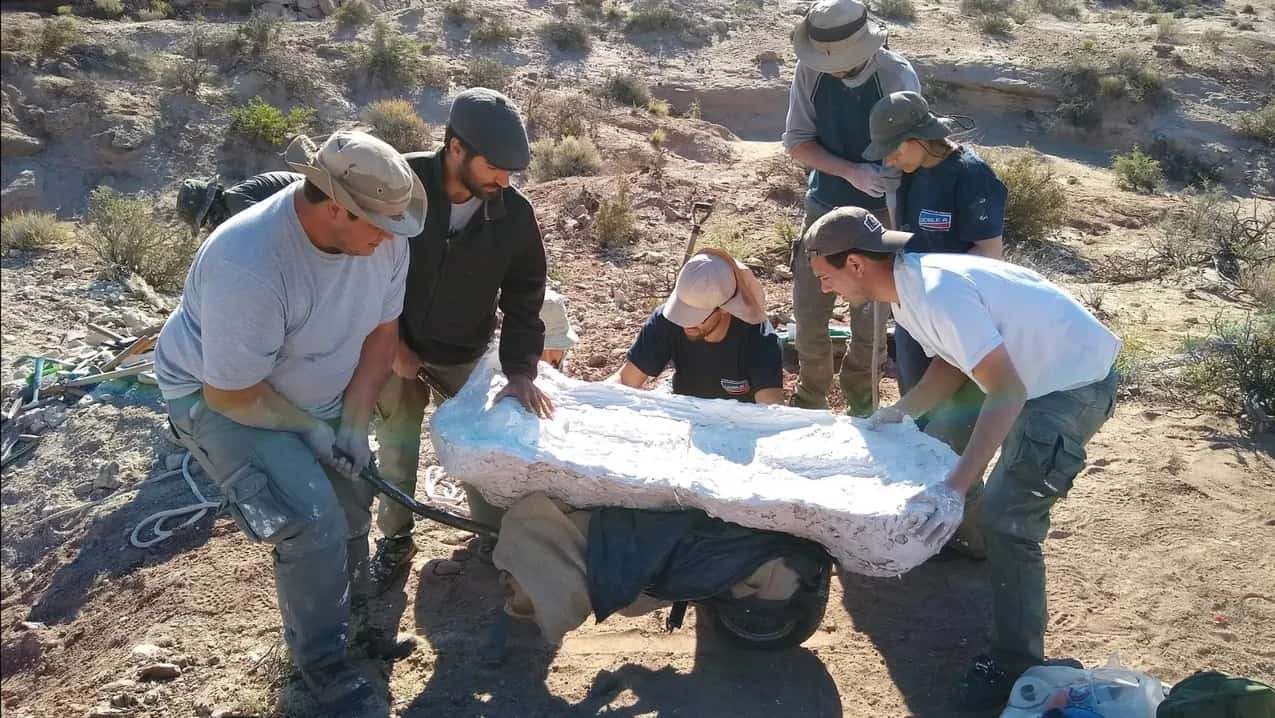 Descubren un dinosaurio herbívoro que vivió hace 90 millones de años en Río Negro