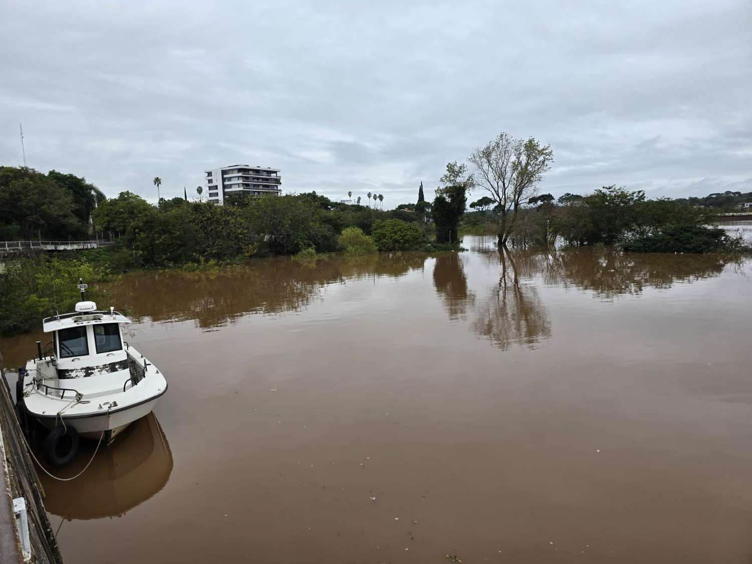 La creciente del río Uruguay ya desplazó a más de 500 personas en Salto