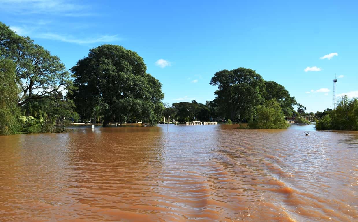 En Concordia, el nivel del río Uruguay no superaría los 13,60 metros durante el fin de semana