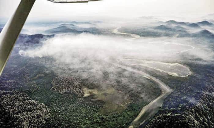 Salta perdió casi 200 mil hectáreas de bosque por el fuego