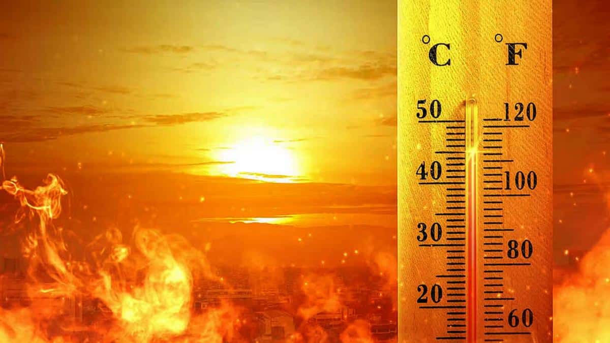 2023 se encamina a ser el año más caluroso en la historia de la Tierra