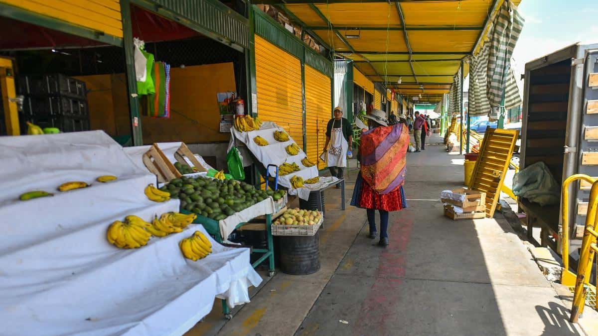 En clima de crisis, cerca del 50 % de los peruanos sufre inseguridad alimentaria
