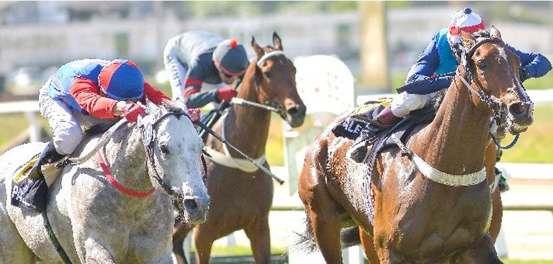 Viernes 7: Actividad Hipódromo de Palermo – El Heraldo