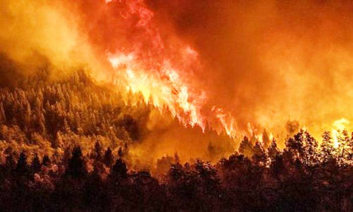 En 2022 se duplicó la superficie de hectáreas incendiadas en la Argentina