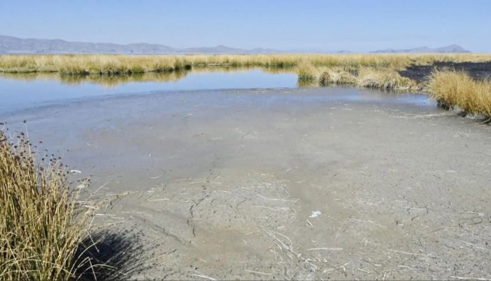 Bolivia y Perú en alerta tras registrarse el nivel histórico más bajo de agua en el lago Titicaca