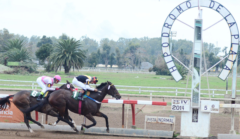 Martes 23: Actividad Hipódromo de La Plata