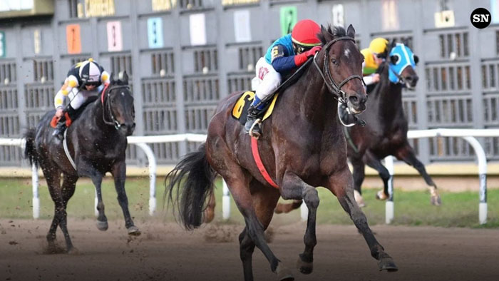 Domingo 7: Actividad Hipódromo de San Isidro