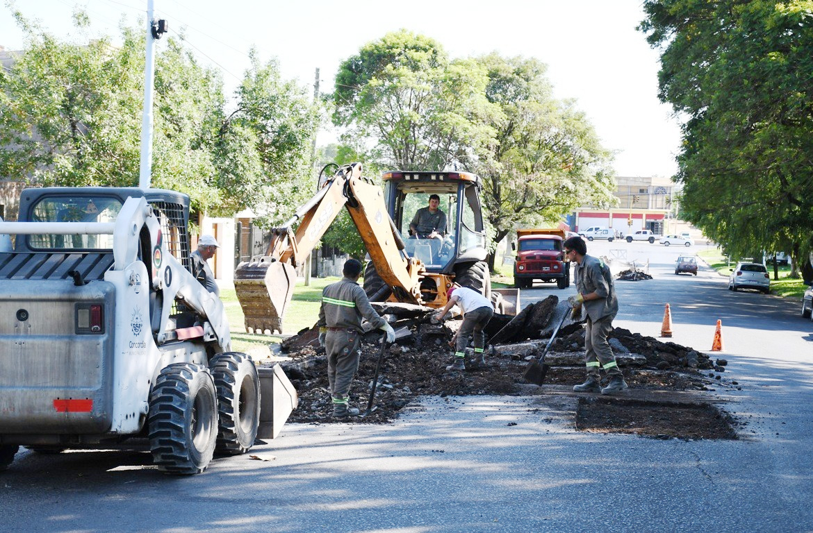 Bacheo y arreglo de calles