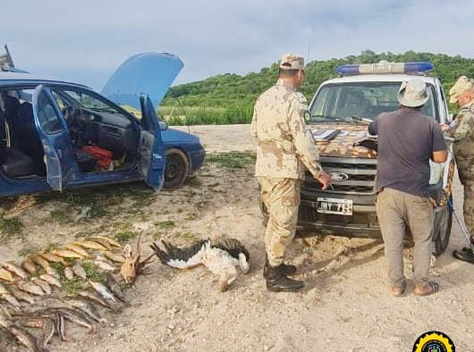 Distintos procedimientos por pesca y caza ilegal