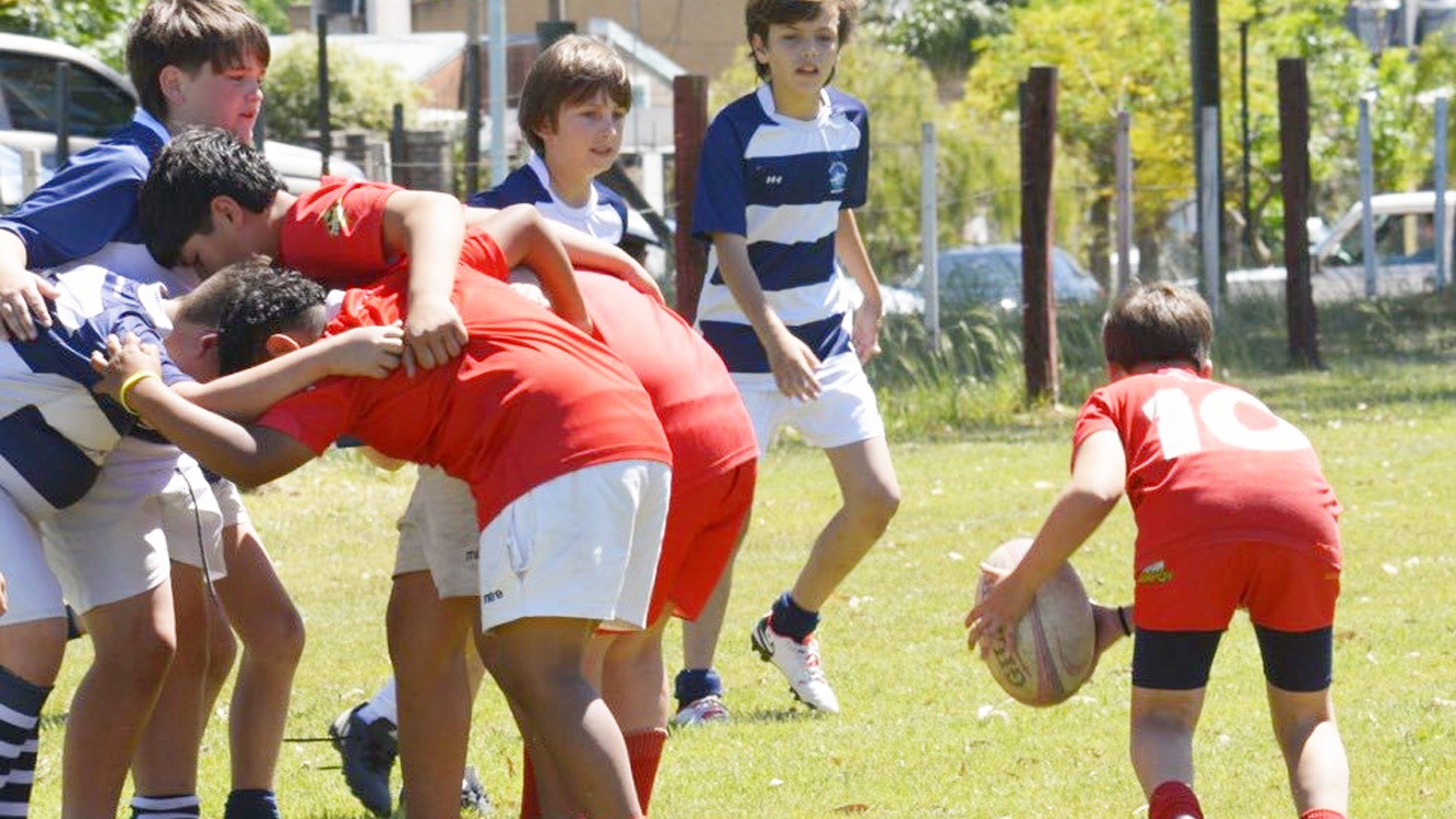 rugby 2