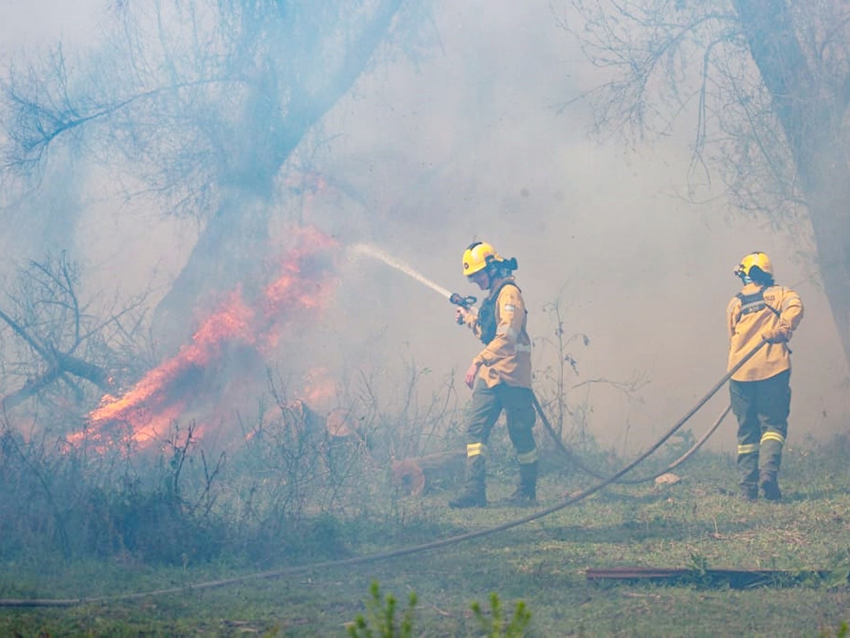Entre Ríos envía a Chubut brigadistas del Plan Provincial del Manejo del Fuego