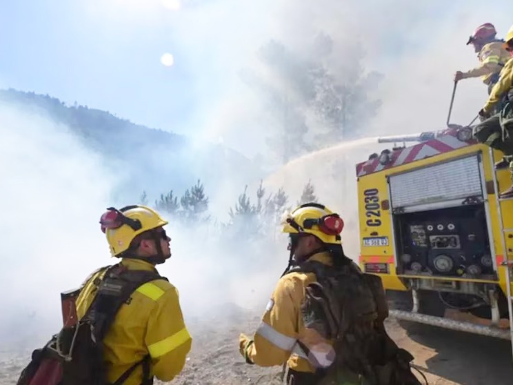 Drama en Chubut: las llamas arrasaron 40 mil hectáreas y brigadistas de Chile se suman a combatir el fuego