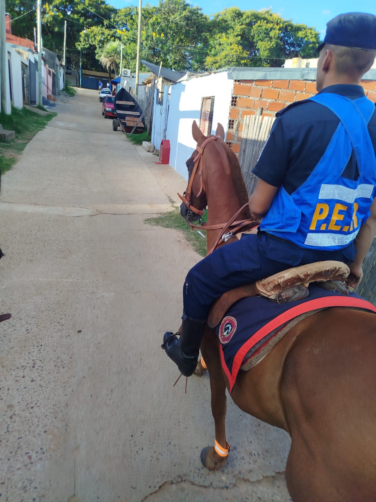 Refuerzan patrullajes preventivos con la Sección Montada y Canes en barrios de la ciudad - 2