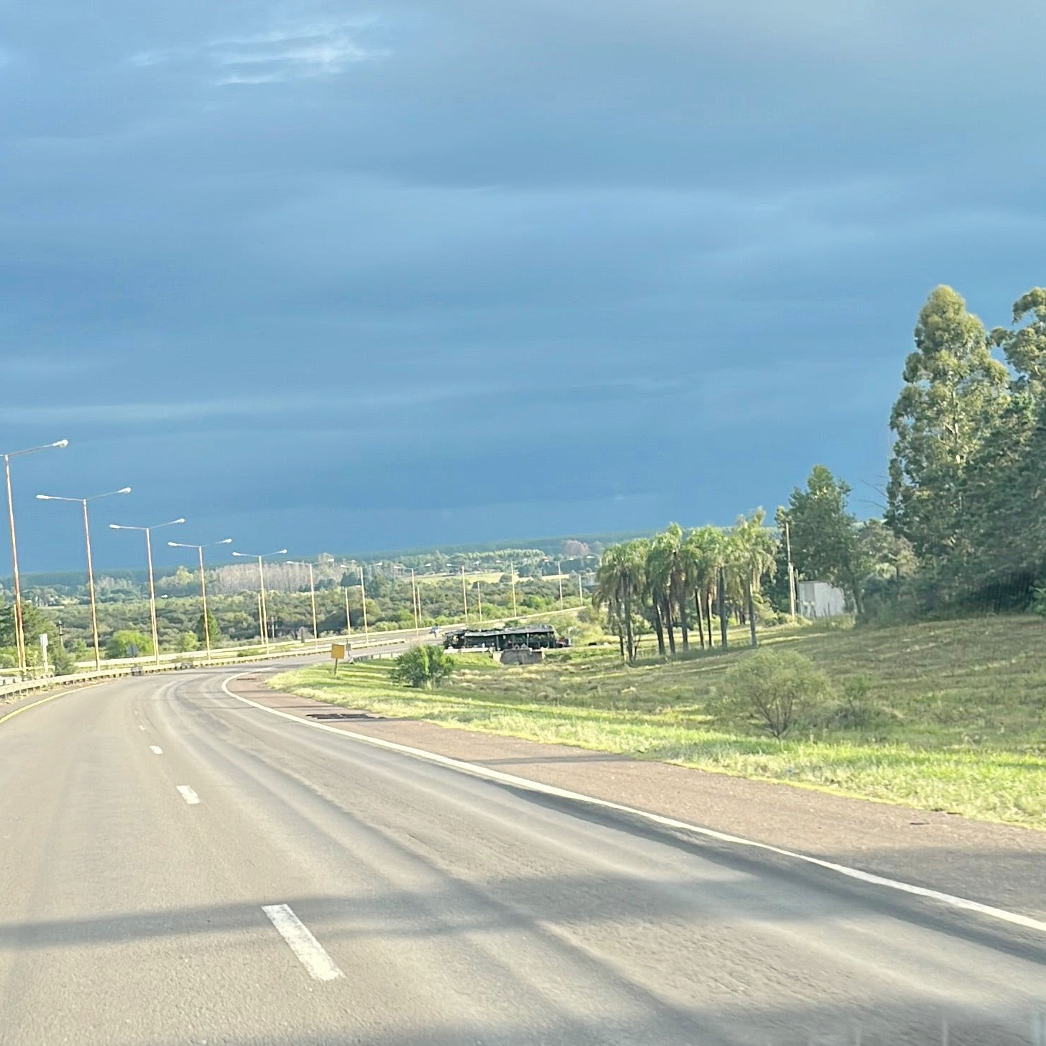 camiones - 2