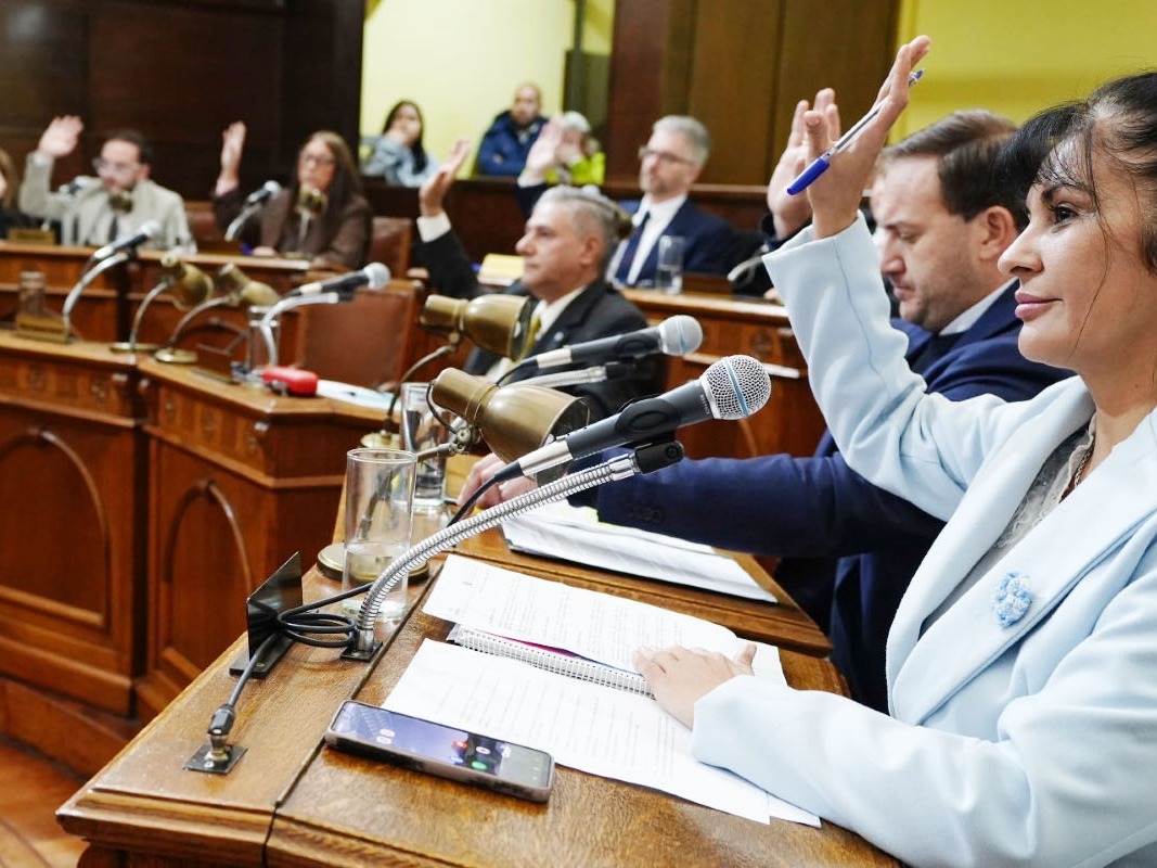 Se aprobó por unanimidad la nueva Ordenanza de Procedimiento Administrativo Municipal