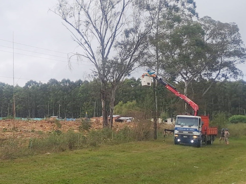 Por la tala de un árbol, Calabacilla y parte de Puerto Yeruá estuvieron sin energía eléctrica
