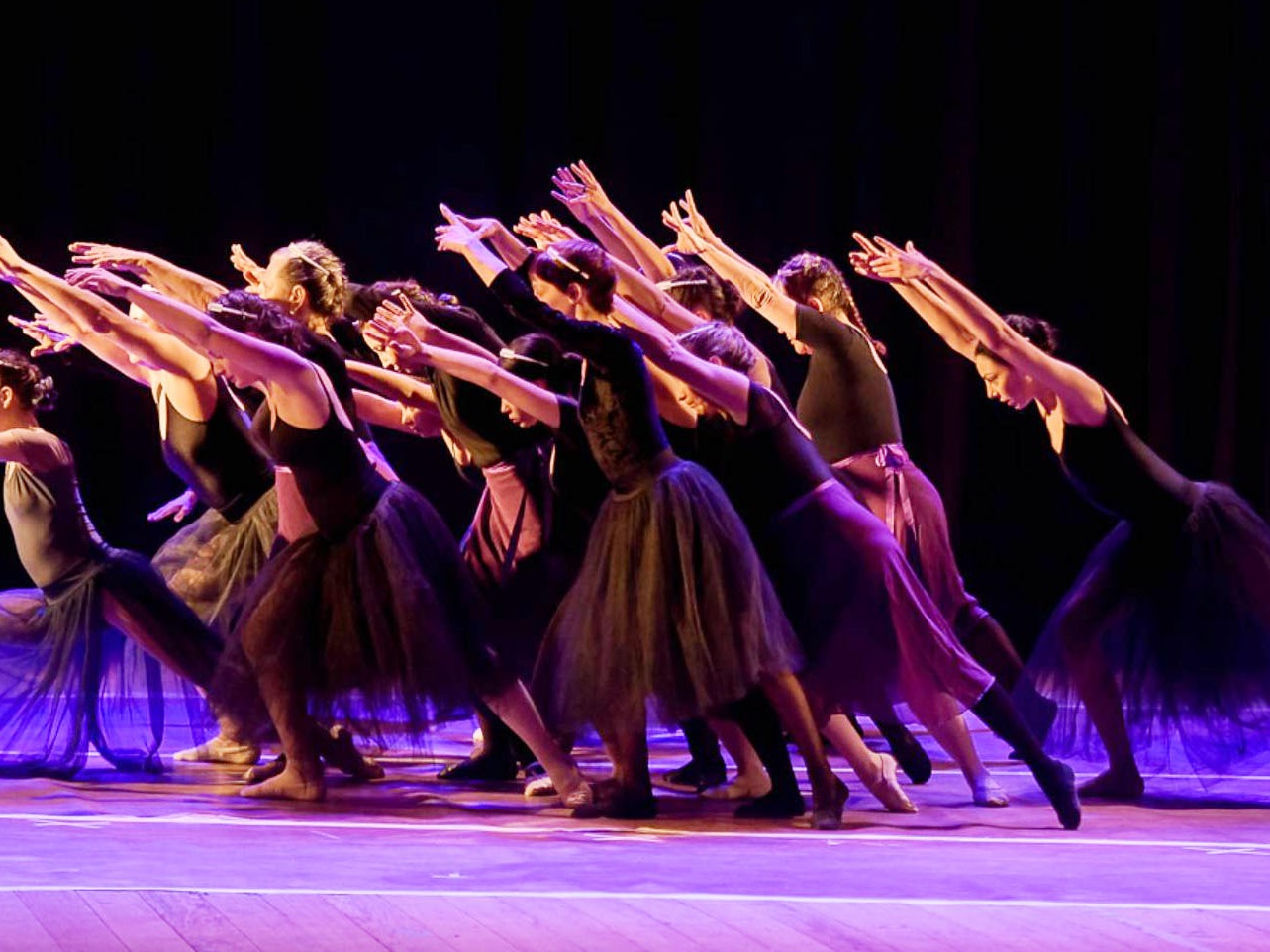 Difundieron las propuestas seleccionadas del primer Encuentro Entrerriano de Danza