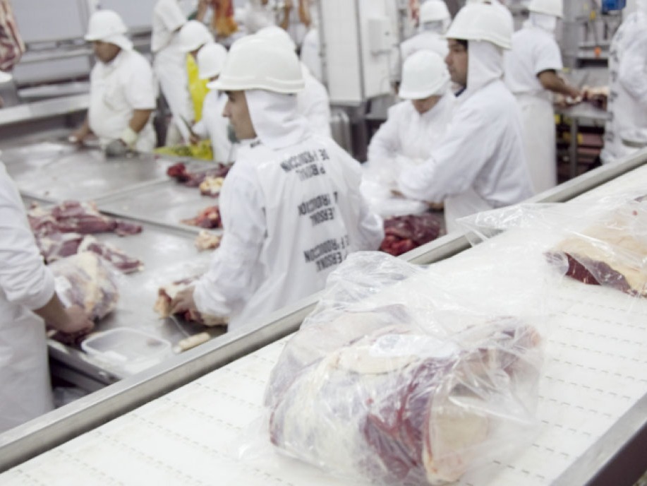 La ganadería aún refleja el daño que provocaron las secas de 2023 a 2025