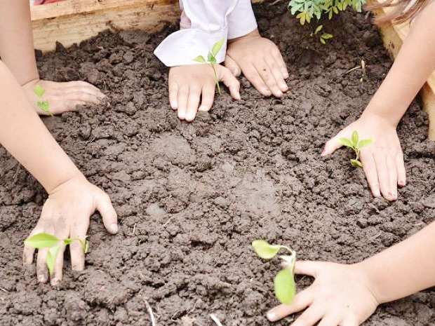 Desarrollo productivo y la fundación huerta niño impulsan el programa Huerta Escuela