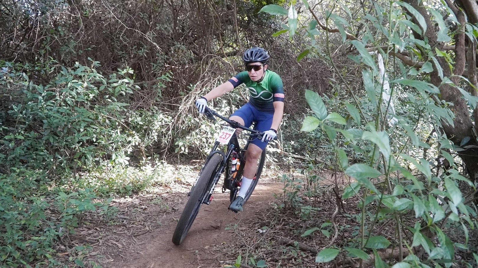 mountain bike 2