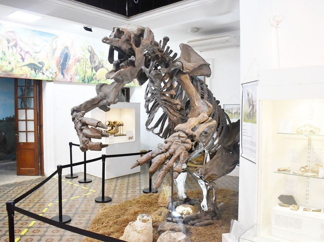 El Museo de Ciencias Naturales cumple 30 años custodiando nuestra historia
