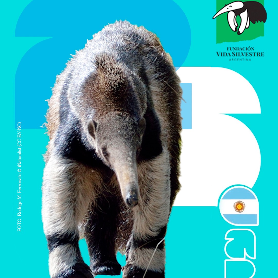 biodiveridad - 1
