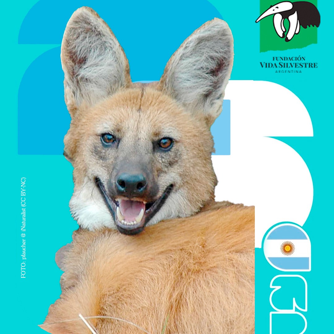 biodiveridad - 2
