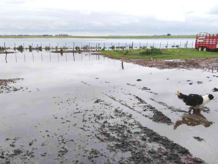 Fenómeno El Niño: prenden las alertas por inundaciones en zonas agrícolas de la Argentina