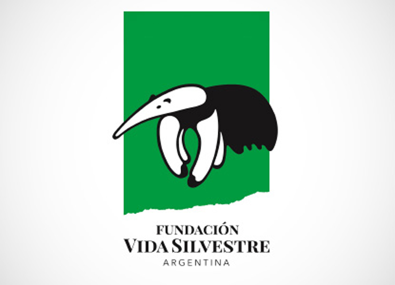 Fundación Vida Silvestre Argentina lanza figuritas de especies para celebrar y proteger la biodiversidad