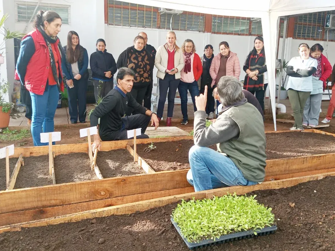 Más familias acceden al programa de huertas agroecológicas integradas