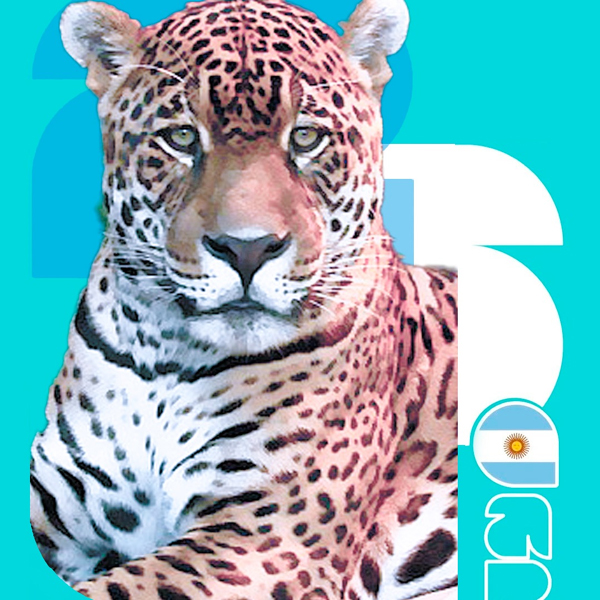 imagenes vida silvestre