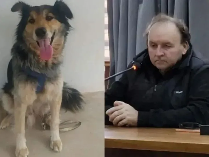 Condenaron a un hombre que ahorcó a su perro en Santa Anita