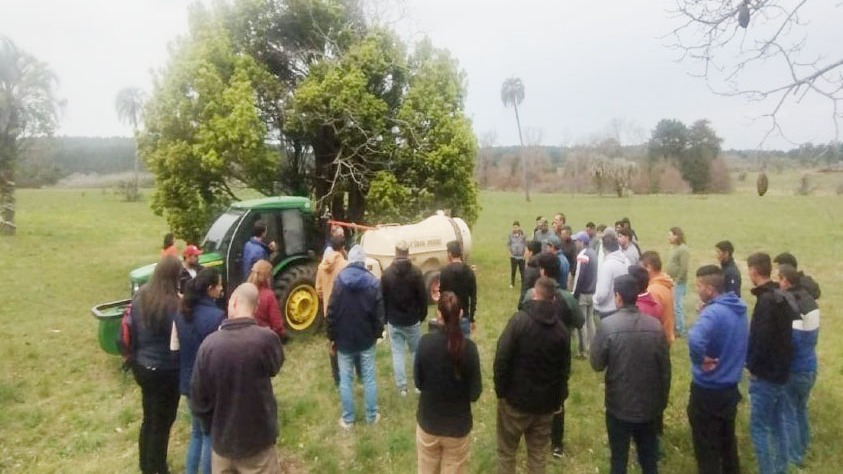 Comportamiento de la brotación y la floración: expertos de Concordia avanzan en el monitoreo fenológico de los pecanes