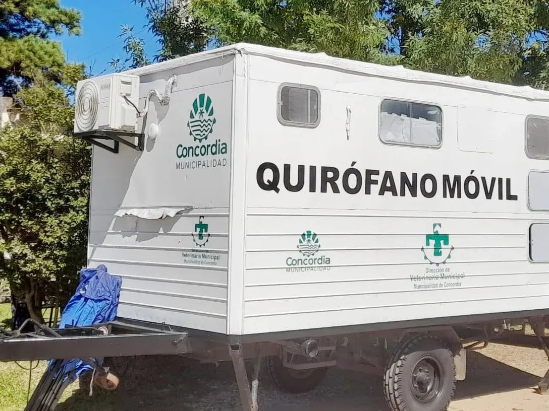 El programa de esterilizaciones barriales gratuitas atenderá en el barrio ex Aero Club