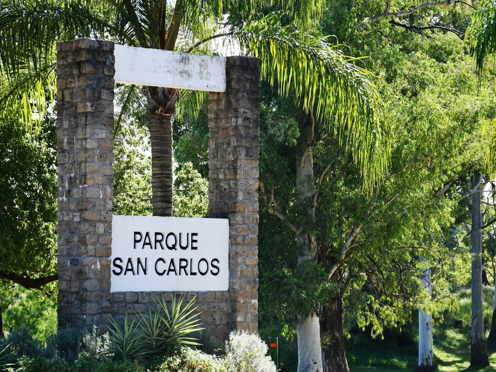 Trabajos de mantenimiento y recuperación ambiental en el Parque San Carlos