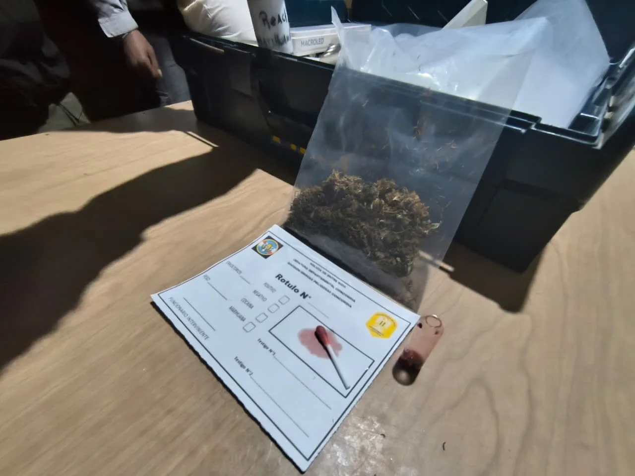 Allanamientos simultáneos por una causa de hurto: secuestraron un arma de aire comprimido y marihuana - 1