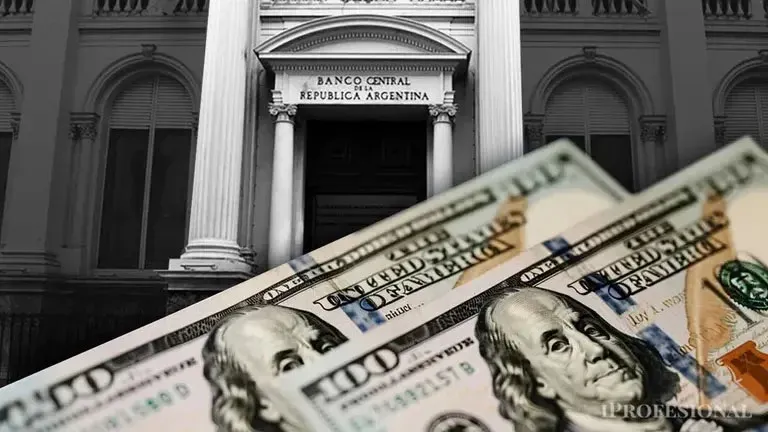 El Banco Central realizó una fuerte compra de dólares y acumuló 125 jornadas seguidas con saldo positivo