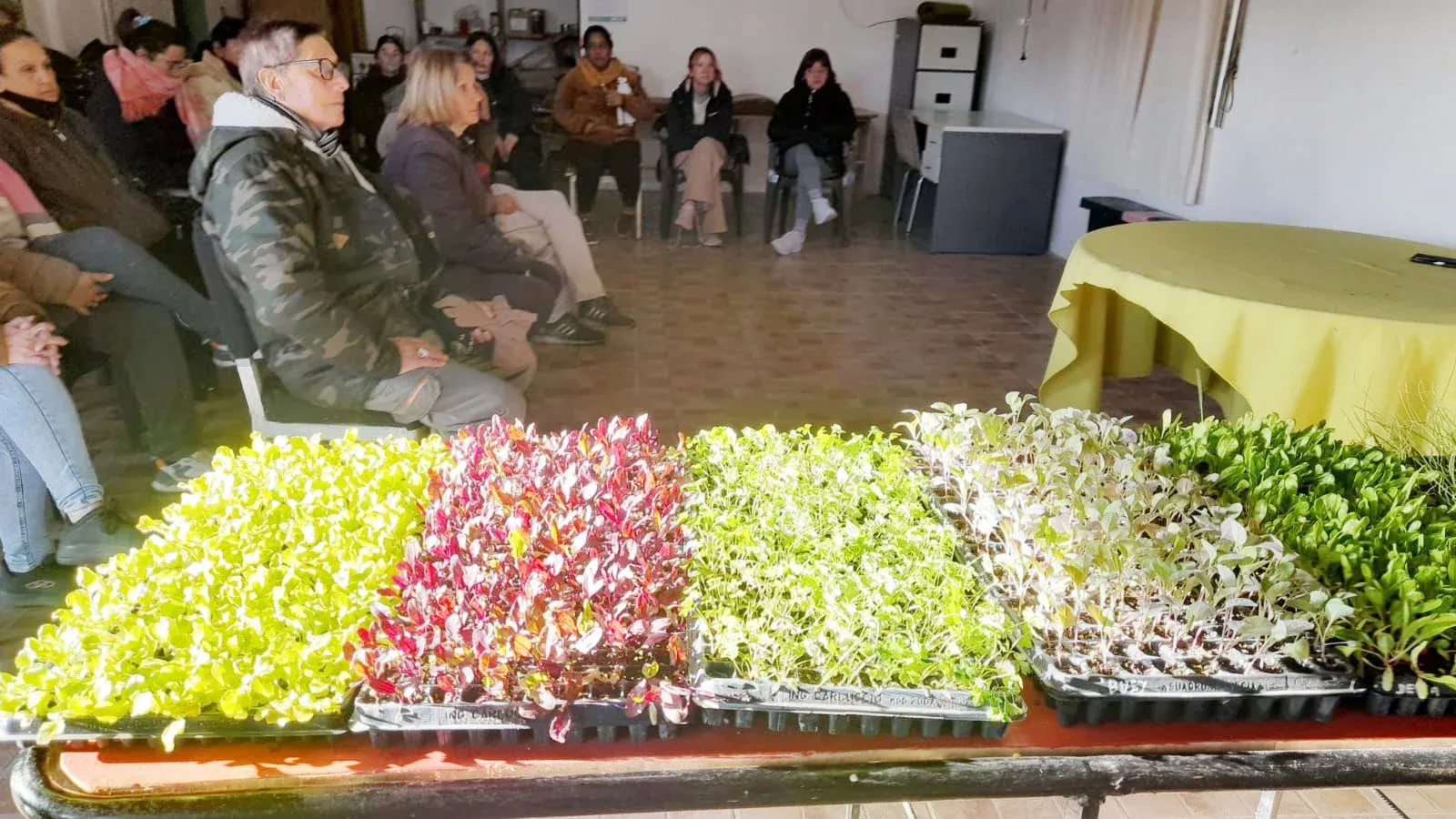 Personas mayores participaron de una capacitación sobre huertas de invierno y alimentación saludable
