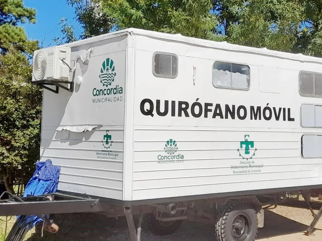 El programa de esterilizaciones barriales atenderá en el barrio Carretera la Cruz