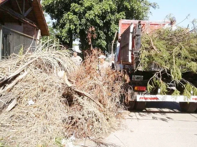 La Municipalidad estableció un cronograma semanal para el retiro de ramas