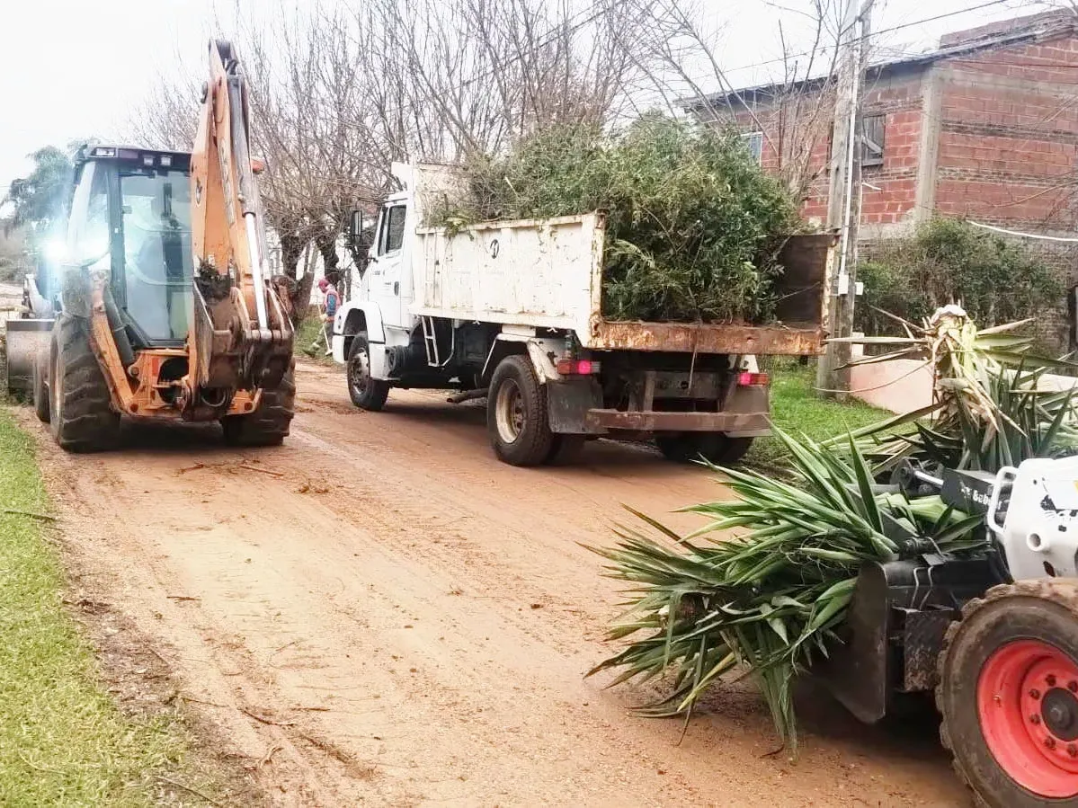 Tareas de despeje de la vía pública y asistencia a damnificados por el temporal