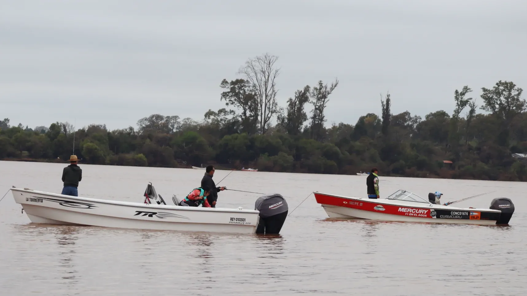 pesca3