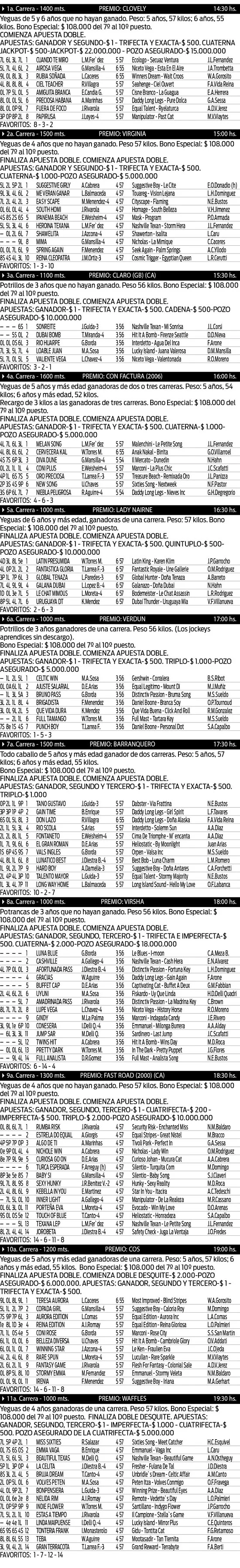 turf la plata 25