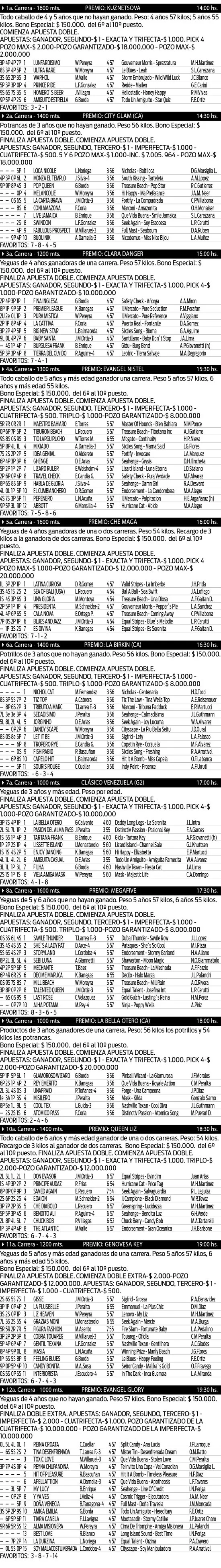 turf palermo